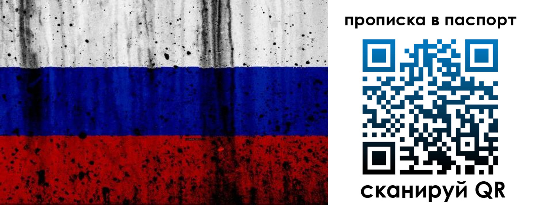 где прописаться в Александровске